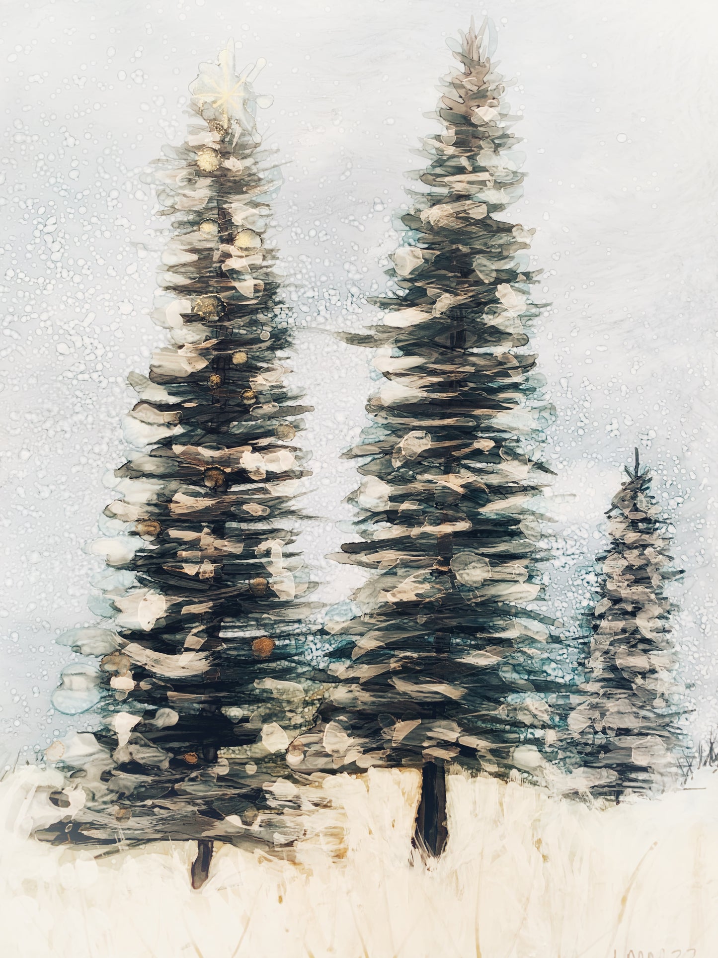Winter Pines