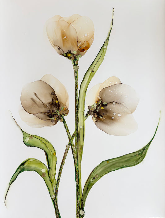 Tan Tulips