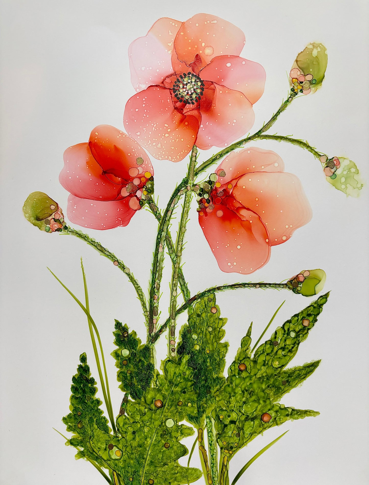 Peach Poppies