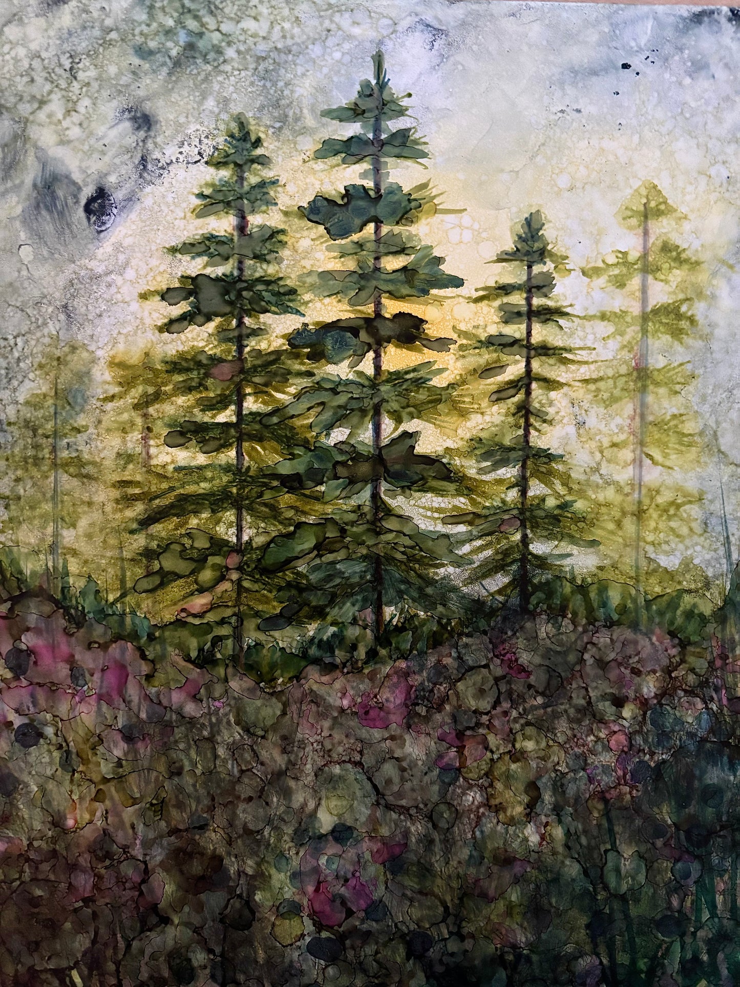 Hemlock Forest