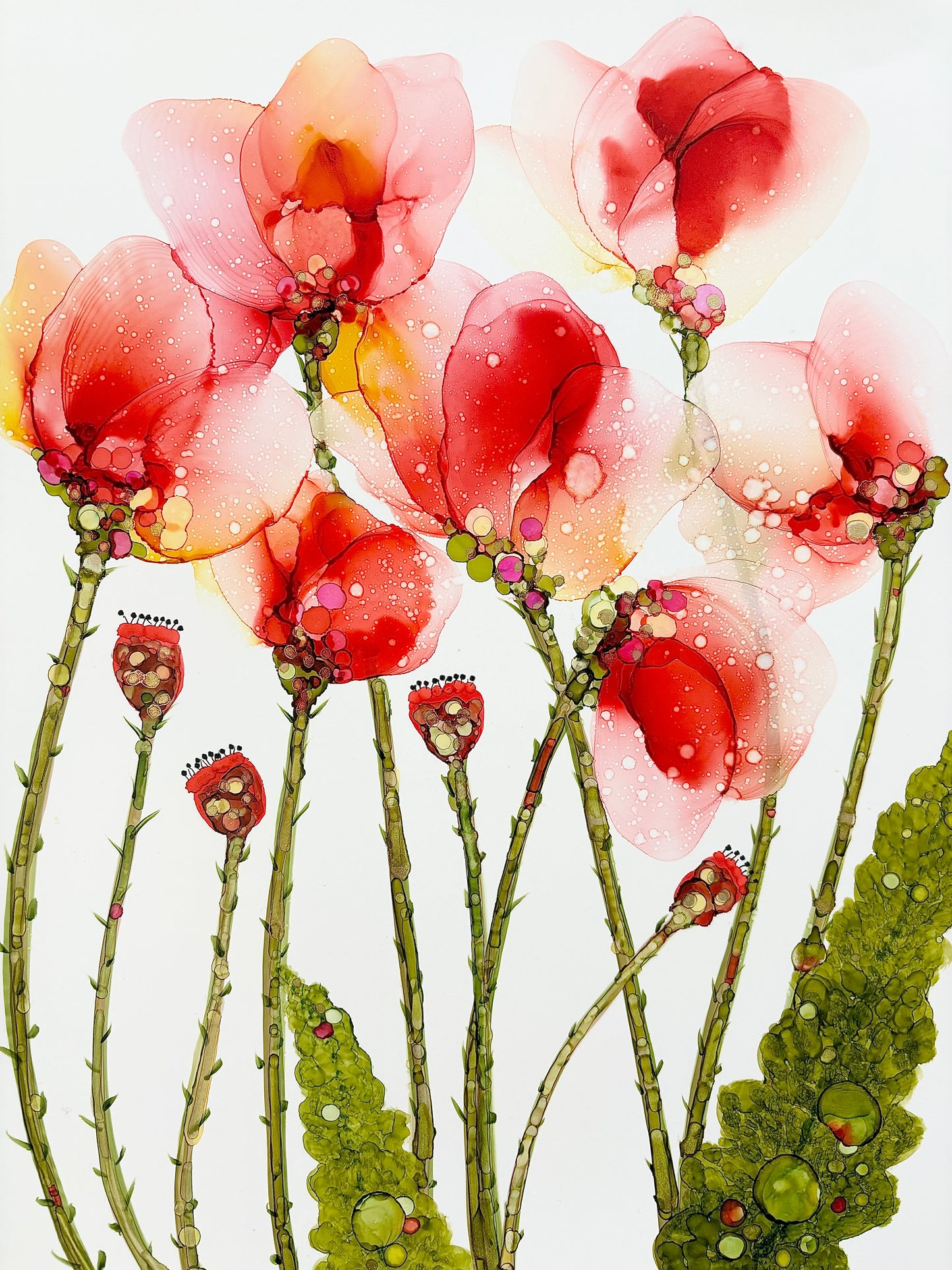 Orange Poppy Field