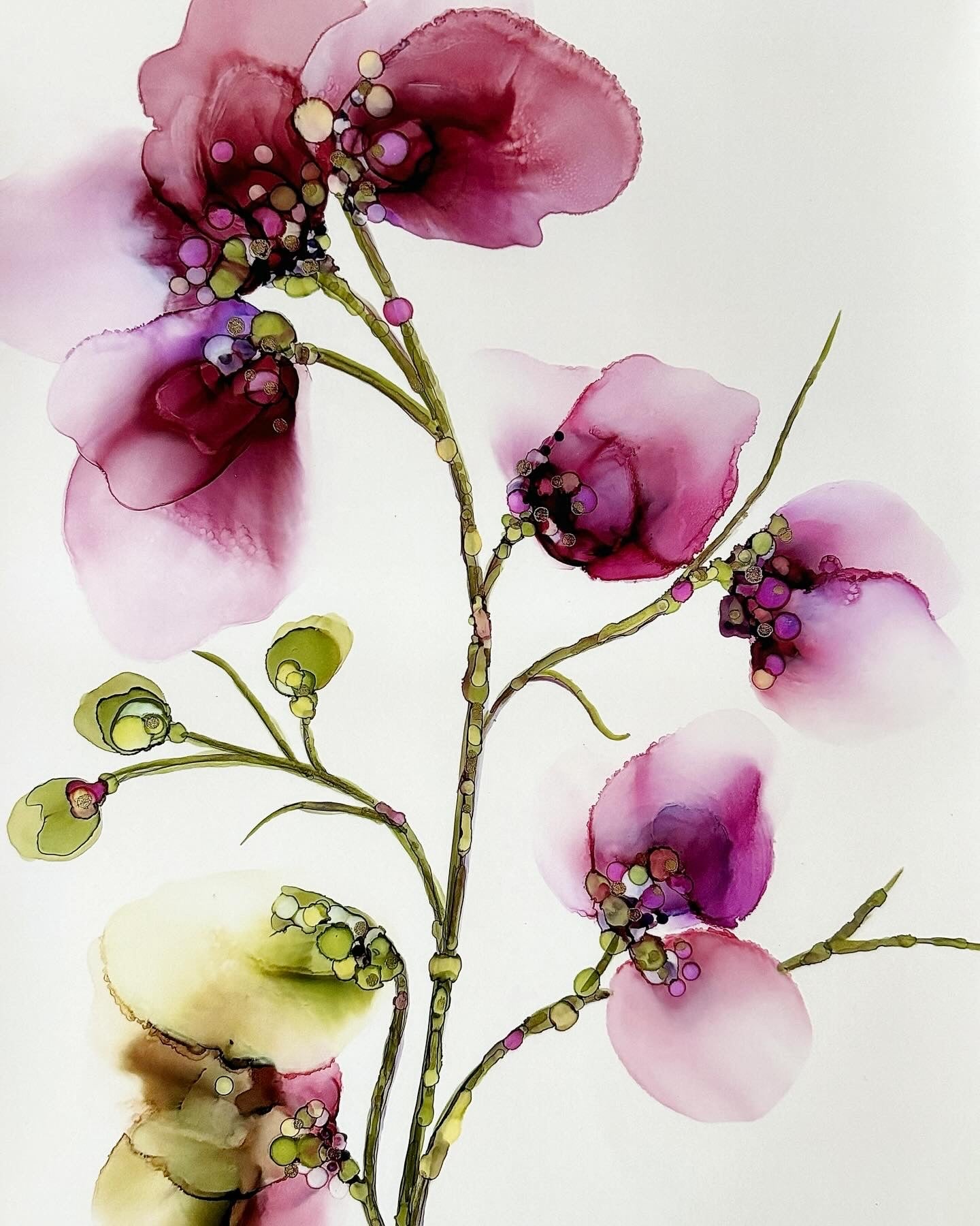Sweet Pea Flowers 2