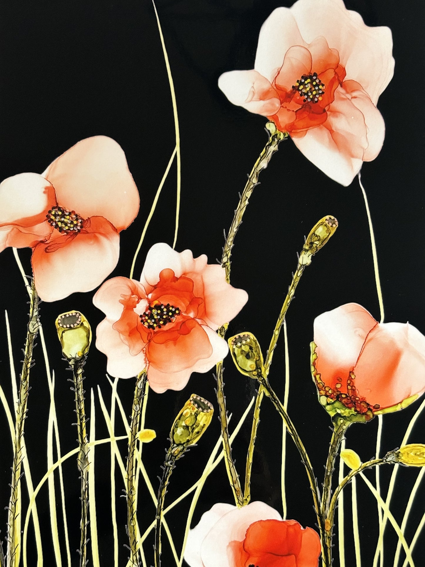 Poppies in the Night