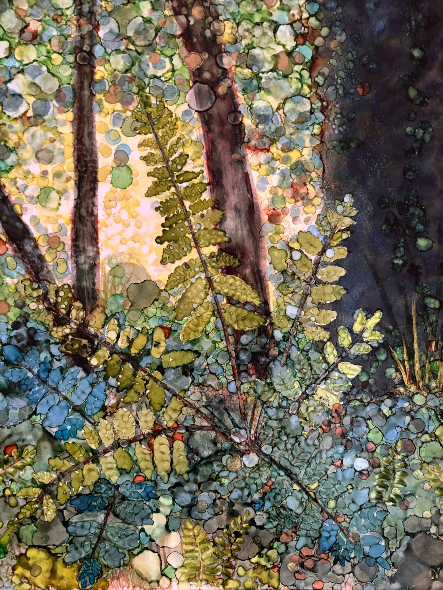 The Fern in the Forest
