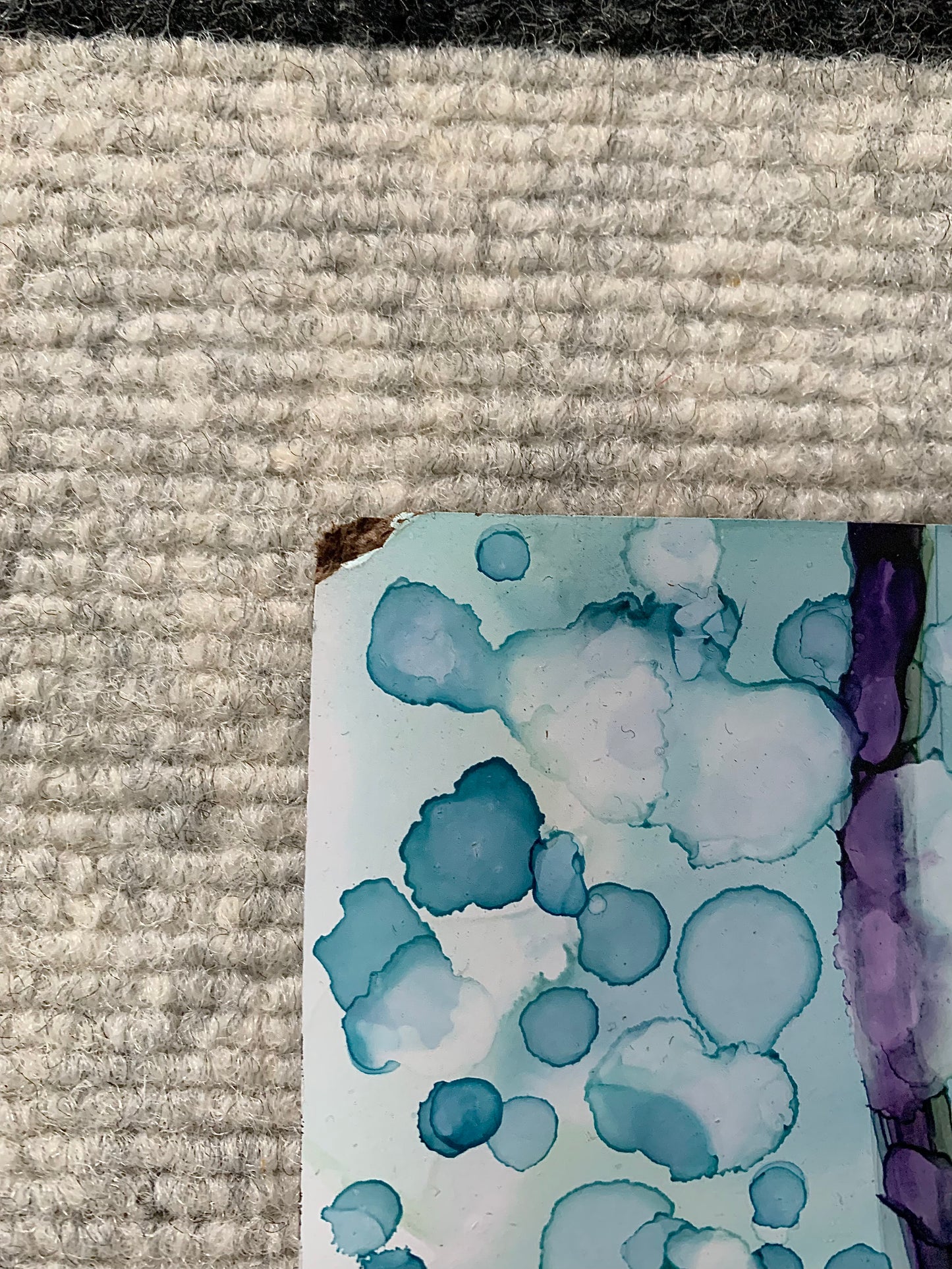 “Quiet Moment” Forest Series