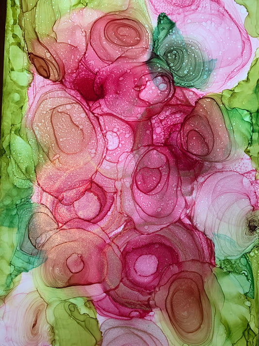 Rose Garden In The Afternoon Sun