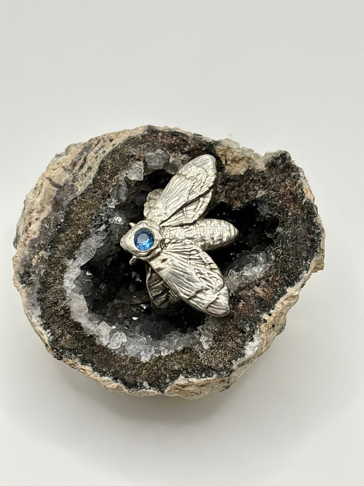 Large Moth with Blue Stone a