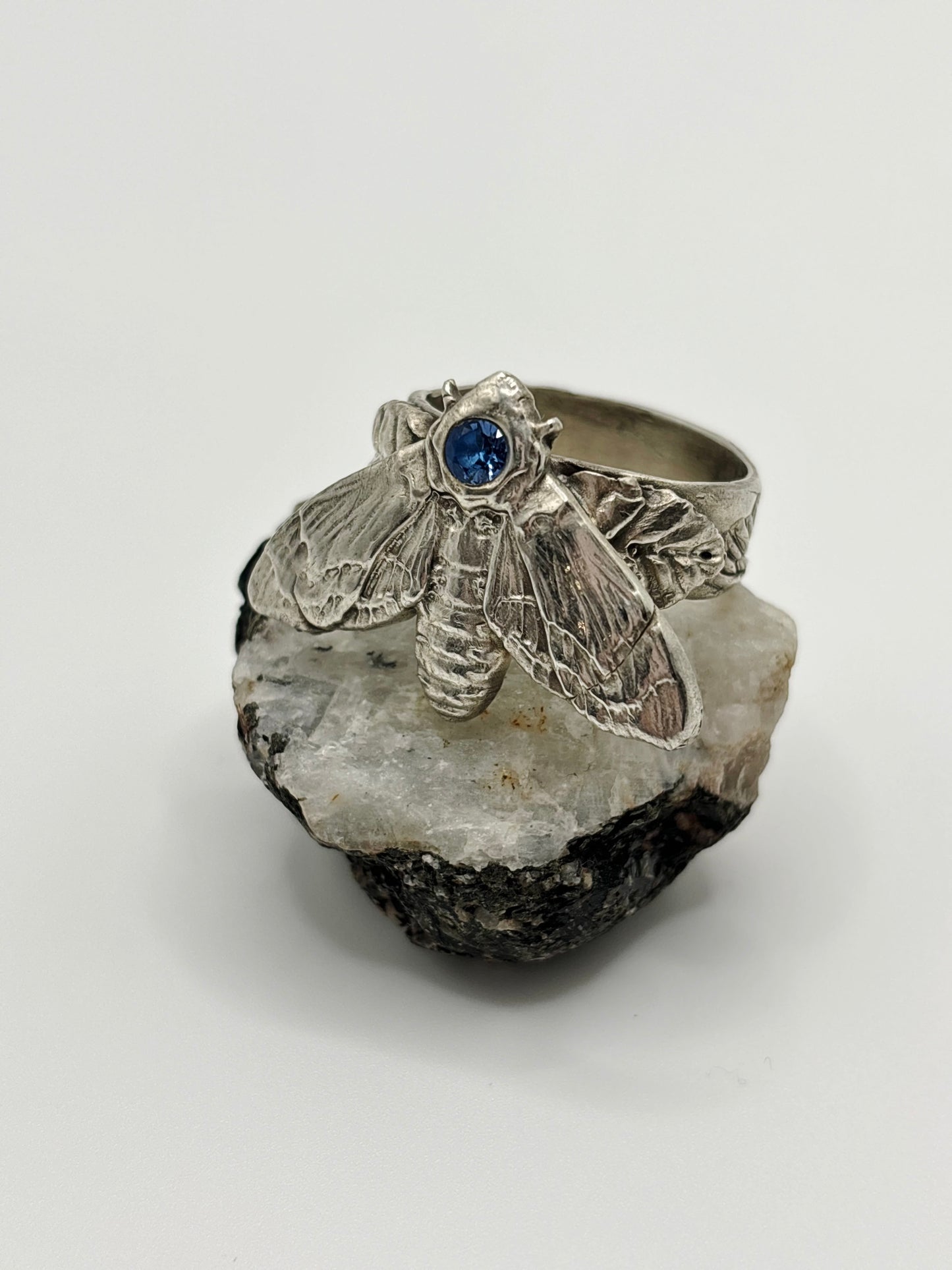 Large Moth with Blue Stone a