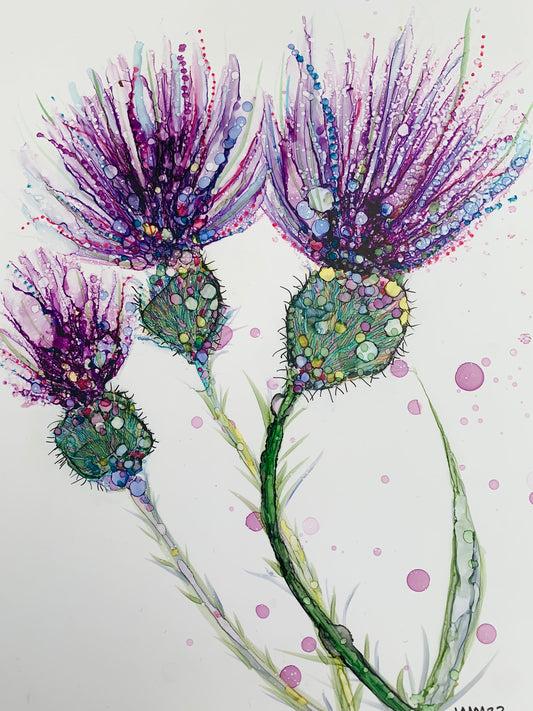 Three thistles